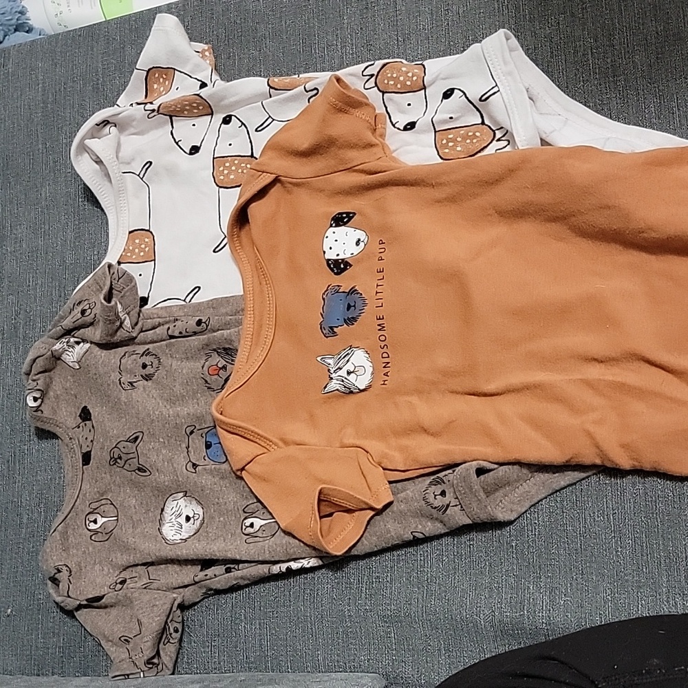 24 month dog onesies